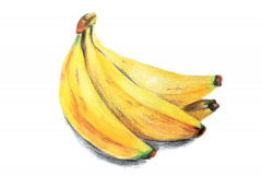 水果中蕴含的中医智慧：香蕉
