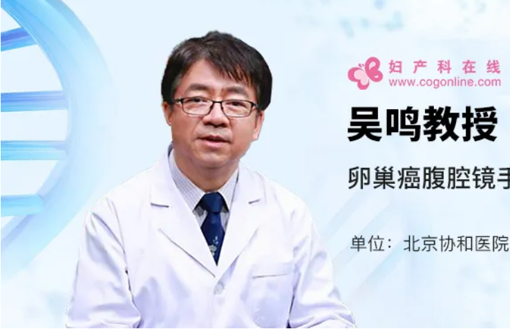 吴鸣：卵巢癌腹腔镜手术的选择与评估