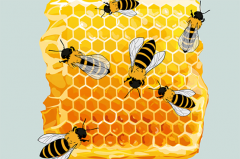 蜂蜜为什么不适合冷冻？