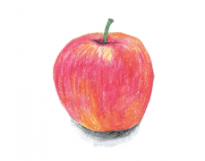 水果中蕴含的中医智慧：苹果