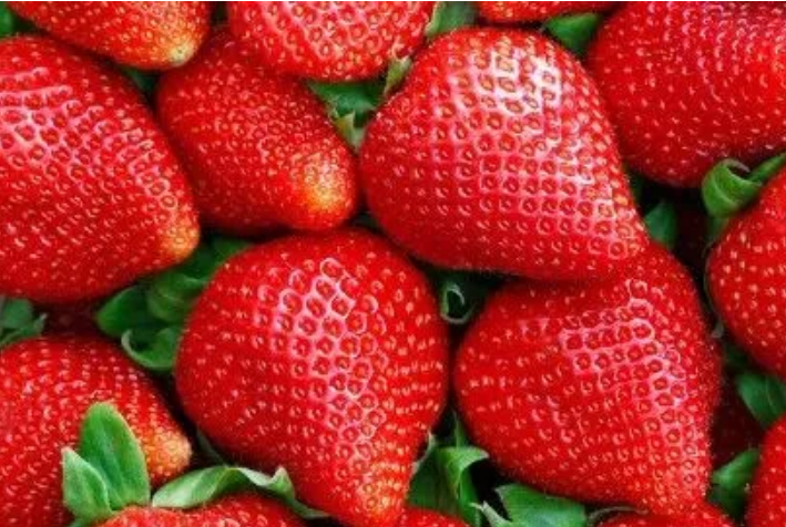 我淘健康说如何挑选新鲜草莓