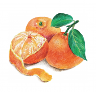 水果中蕴含的中医智慧：橘子|京智康