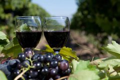 葡萄酒降低糖尿病风险？