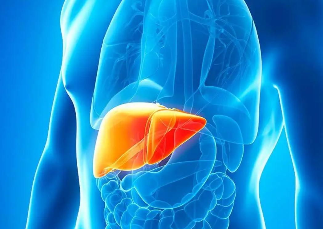 肝细胞癌的预防措施