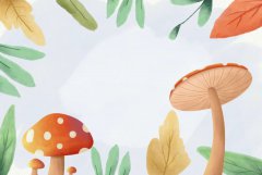 毒蘑菇的10个误区，你知道吗？